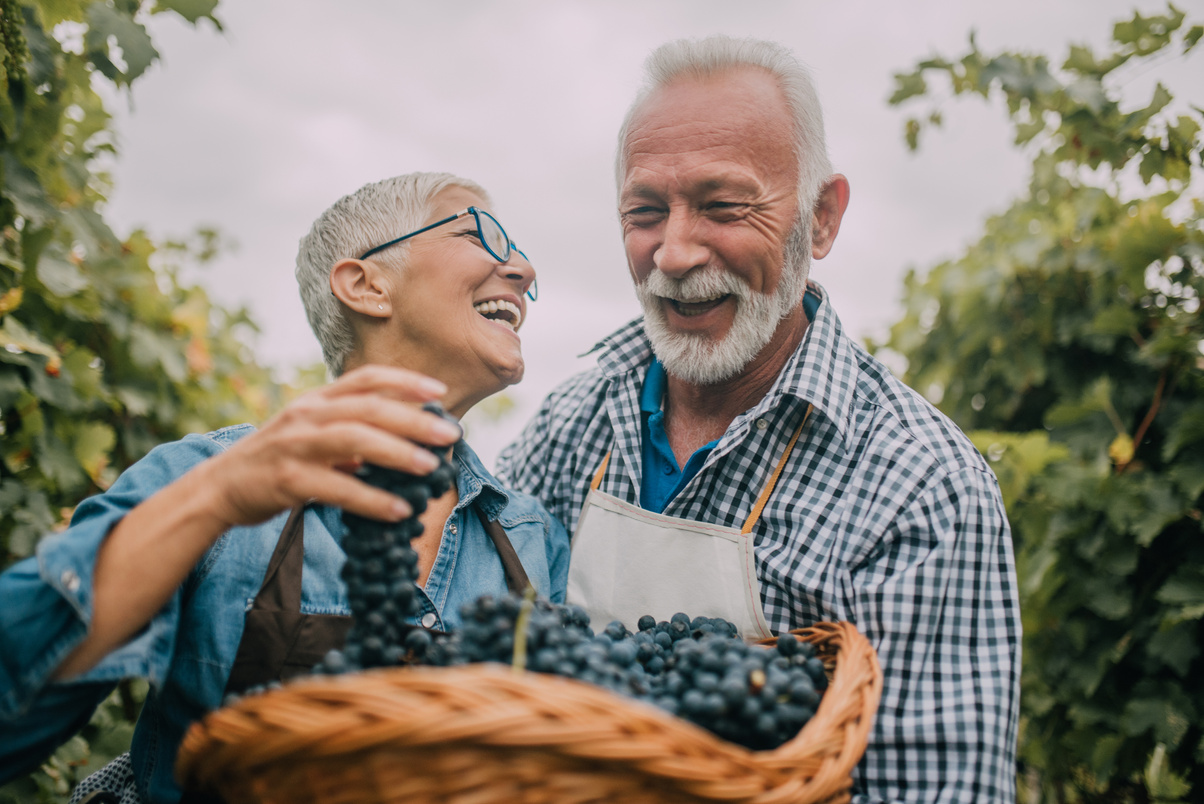 Happy old people with grape basket
