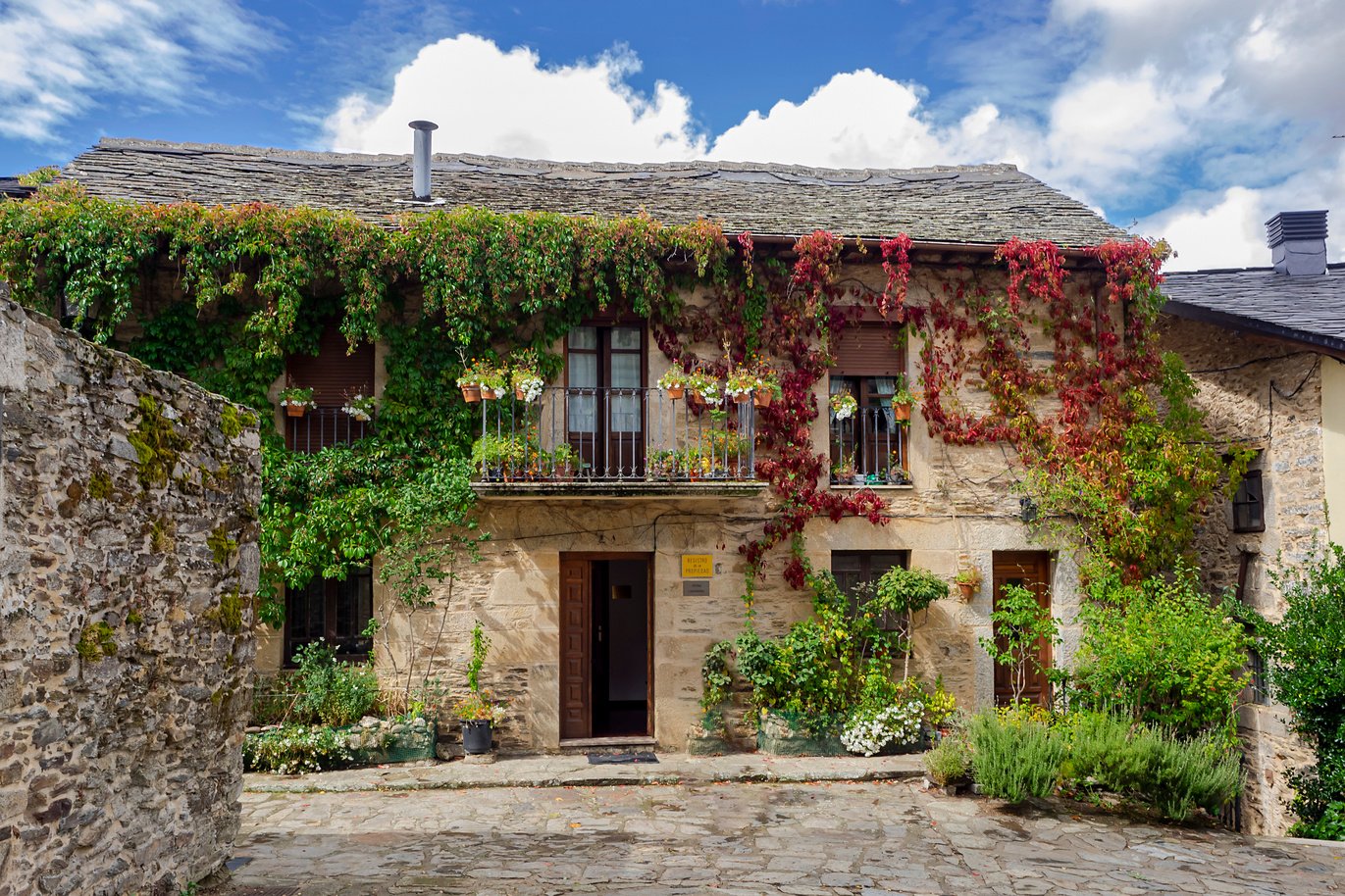 Old Stone House with Plants on Walls